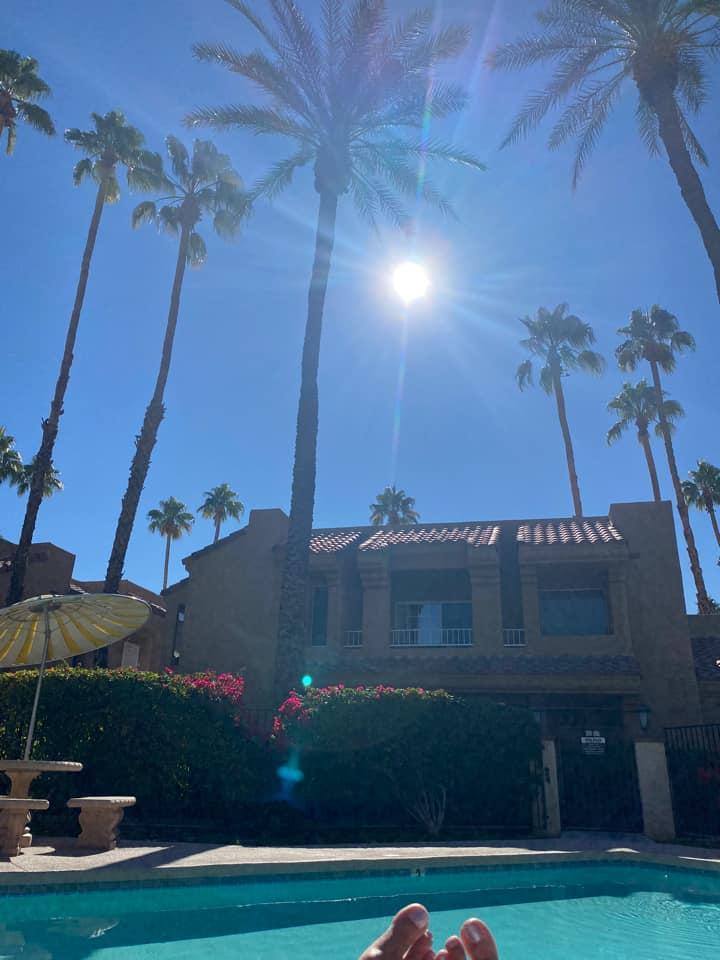 Palm trees at hotel by a pool